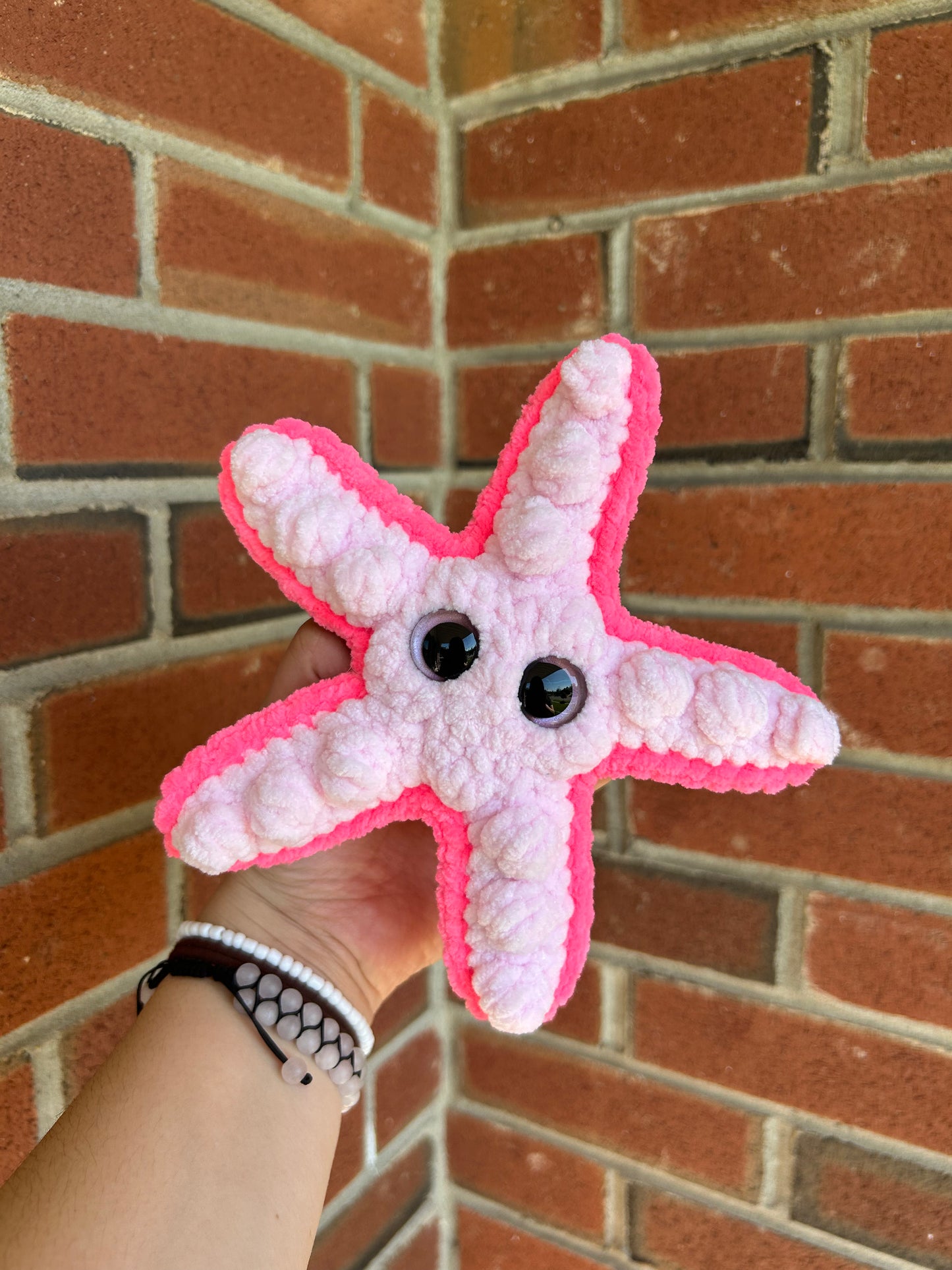 Sandy the Starfish