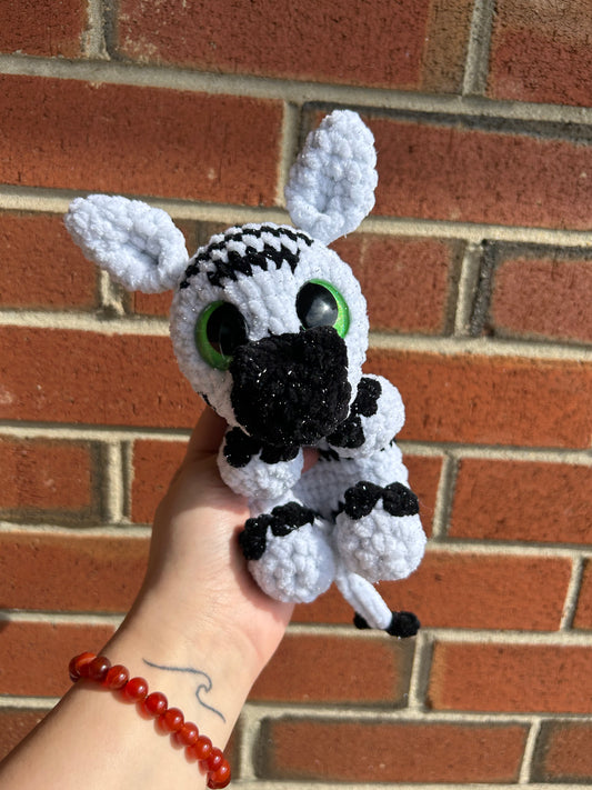 Zola the Zebra